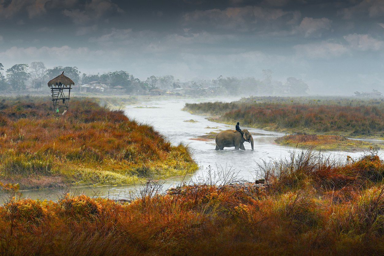 Image of Chitwan